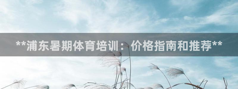 欧陆娱乐欧陆主管：**浦东暑期体育培训：价格指南和推荐**