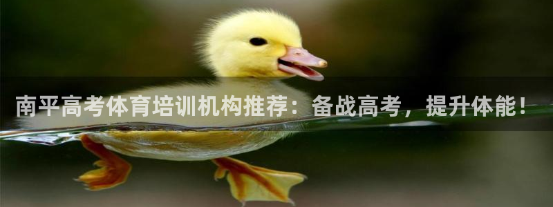 欧陆娱乐注册代理多少钱一年：南平高考体育培训机构推荐