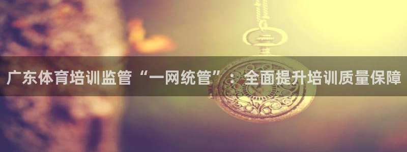欧陆娱乐共创美好：广东体育培训监管“一网统管”：全面提升培训