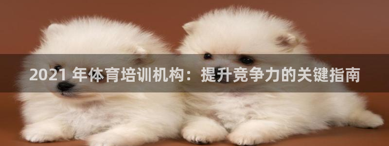 欧陆娱乐不让提现吗：2021 年体育培训机构：提升竞争力的关