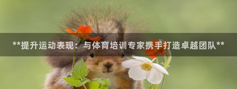 欧陆娱乐官网入口：**提升运动表现：与体育培训专家携手打造卓