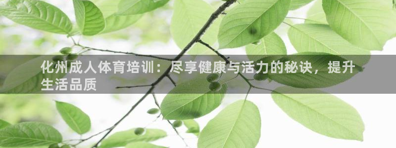 欧陆娱乐官方网站下载：化州成人体育培训：尽享健康与活力的秘诀