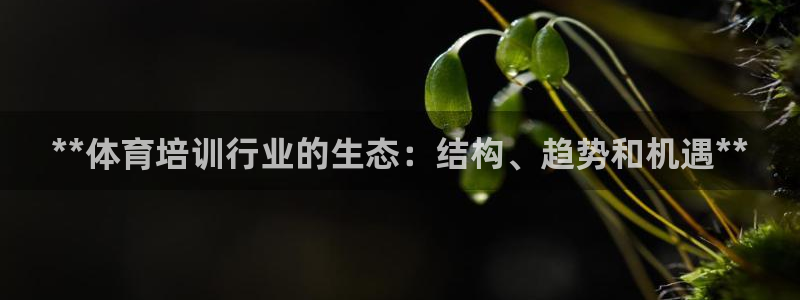 欧陆娱乐官方网站：**体育培训行业的生态：结构、趋势
