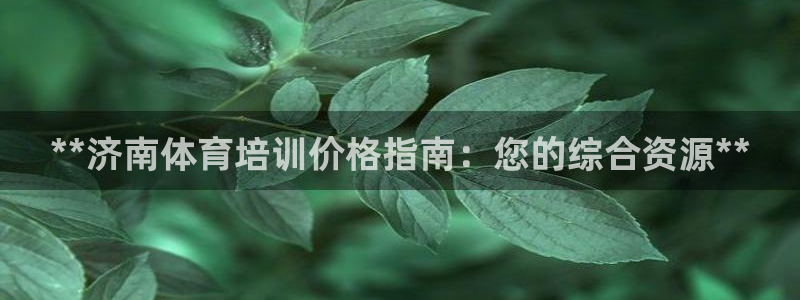 欧陆娱乐是什么：**济南体育培训价格指南：您的综合资