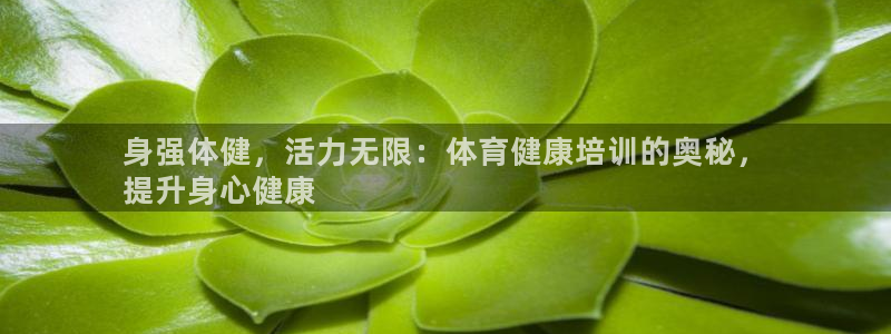 欧陆娱乐微信：身强体健，活力无限：体育健康培训的奥秘