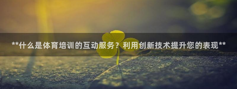 欧陆娱乐打什么方案赚钱：**什么是体育培训的互动服务