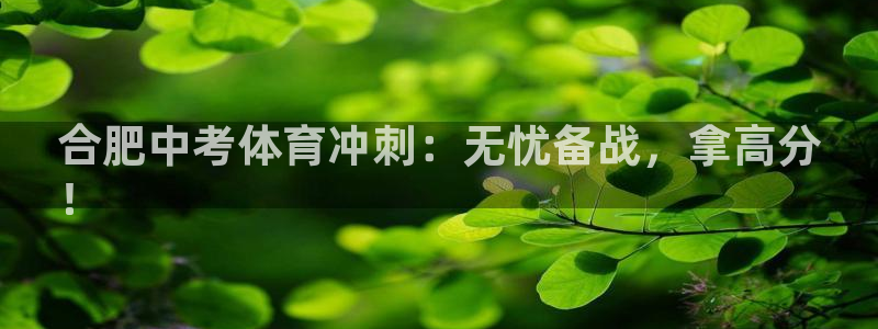 欧陆娱乐计划app官方正版安装下载：合肥中考体育冲刺：无忧备