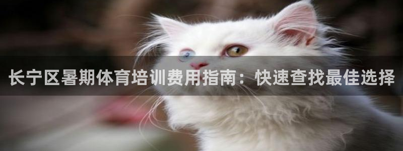 欧陆娱乐不让提现：长宁区暑期体育培训费用指南：快速查